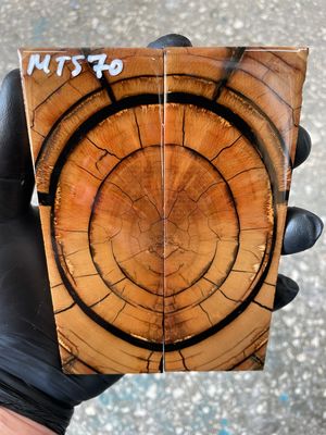 stabilized mammoth tusk knife scales pair fossil handle material MTS70