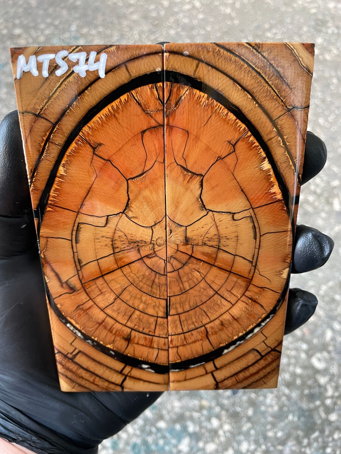 Mammoth tusk knife scales 5.31-1.81-0.39 inch MTS74