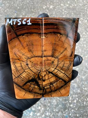 stabilized mammoth tusk knife scales pair fossil handle material MTS61