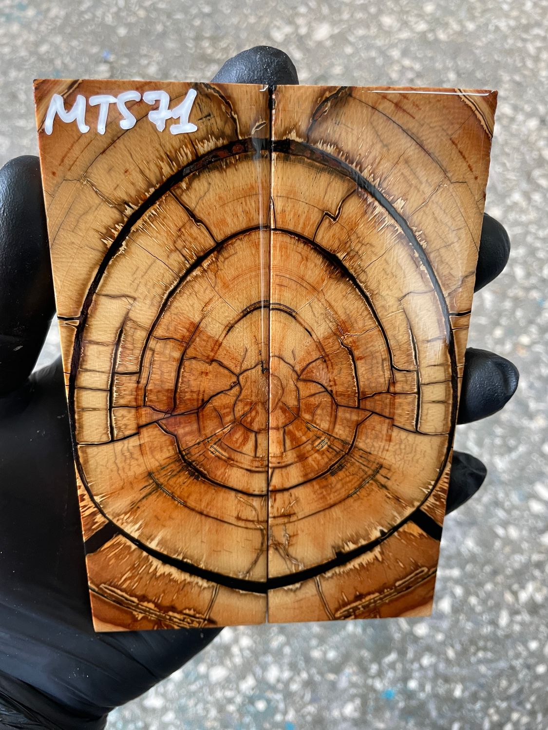 Mammoth tusk knife scales 5.27-1.81-0.39 inch MTS71