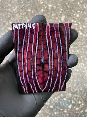 Stabilized mammoth tooth knife scales pair inch for pocket knife handle MTT145