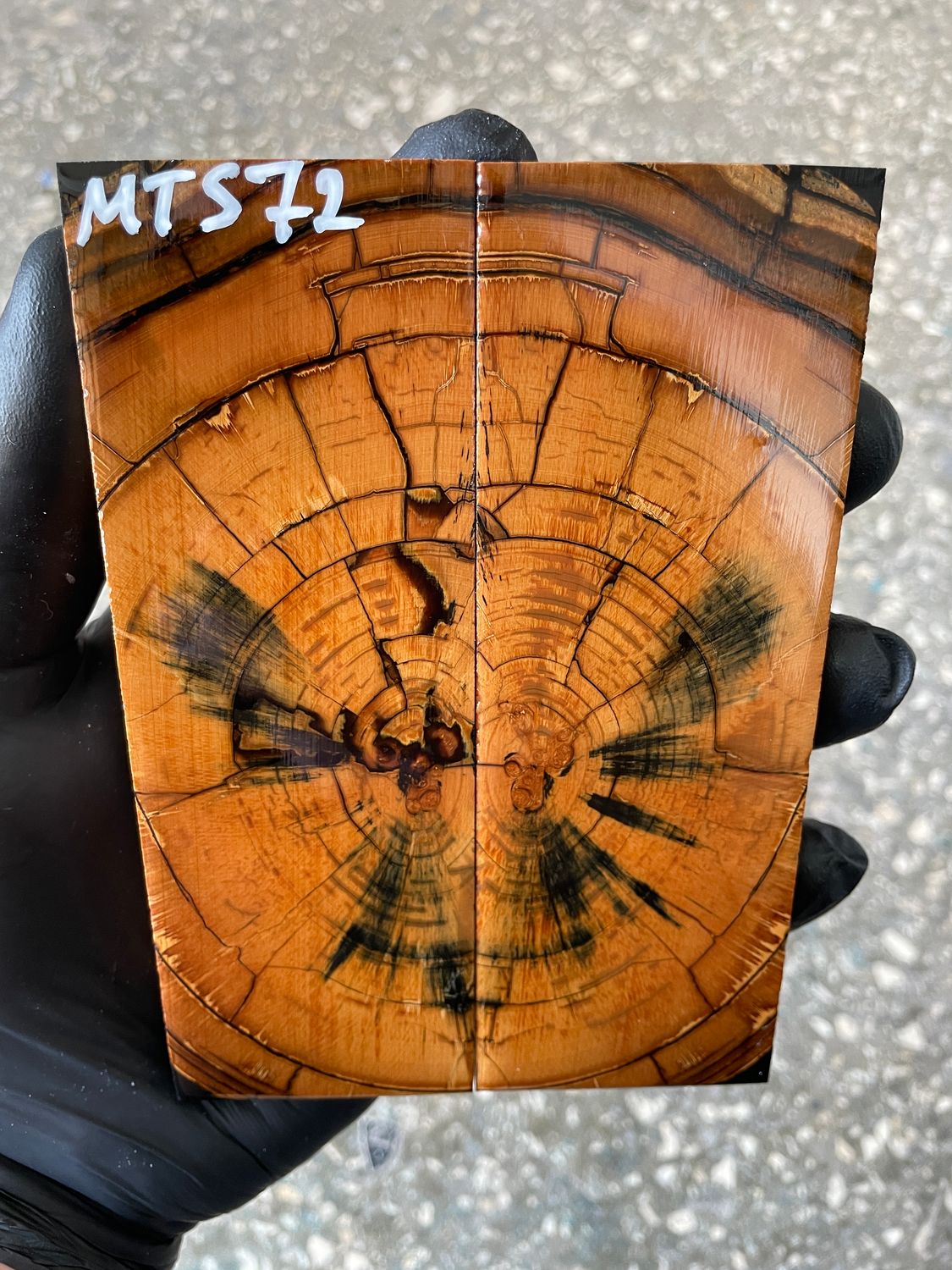 stabilized mammoth tusk knife scales pair fossil handle material MTS72