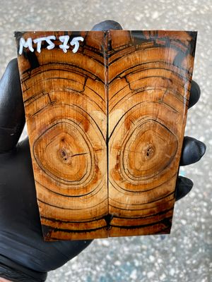 stabilized mammoth tusk knife scales pair fossil handle material MTS75