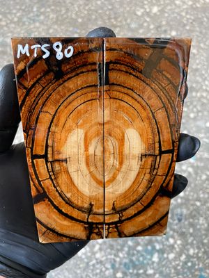 stabilized mammoth tusk knife scales pair fossil handle material MTS80