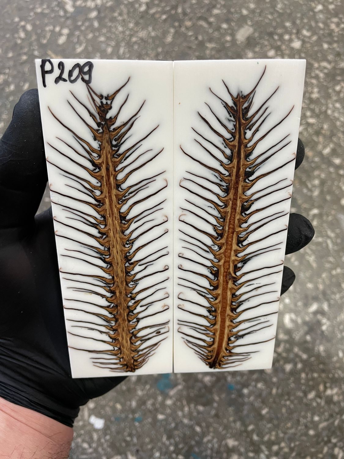 Pinecone in resin knife scales 5.19-1.73-0.43inch P209