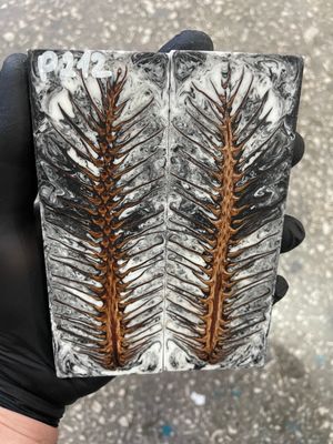pinecone resin knife scales pair handle material P212