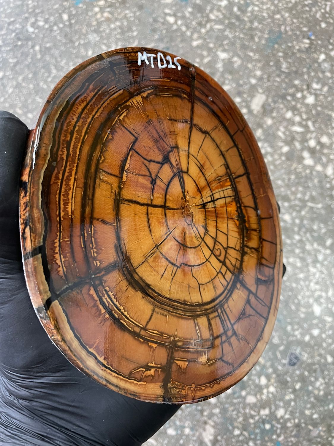 Mammoth tusk disk cross cut MTD25