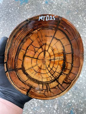 Stabilized mammoth tusk disk fossil ivory cross cut for knife making MTD25