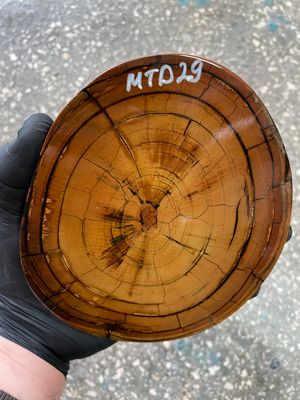 Mammoth Tusk Disk Cross Cut Stabilized Fossil Slab for Knifemaking MTD29