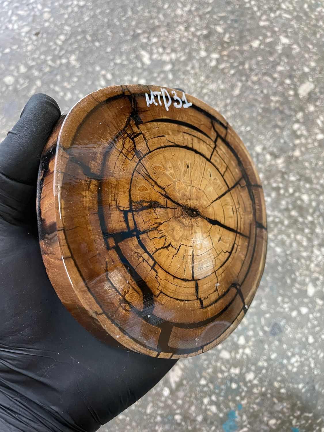 Mammoth tusk disk cross cut MTD31