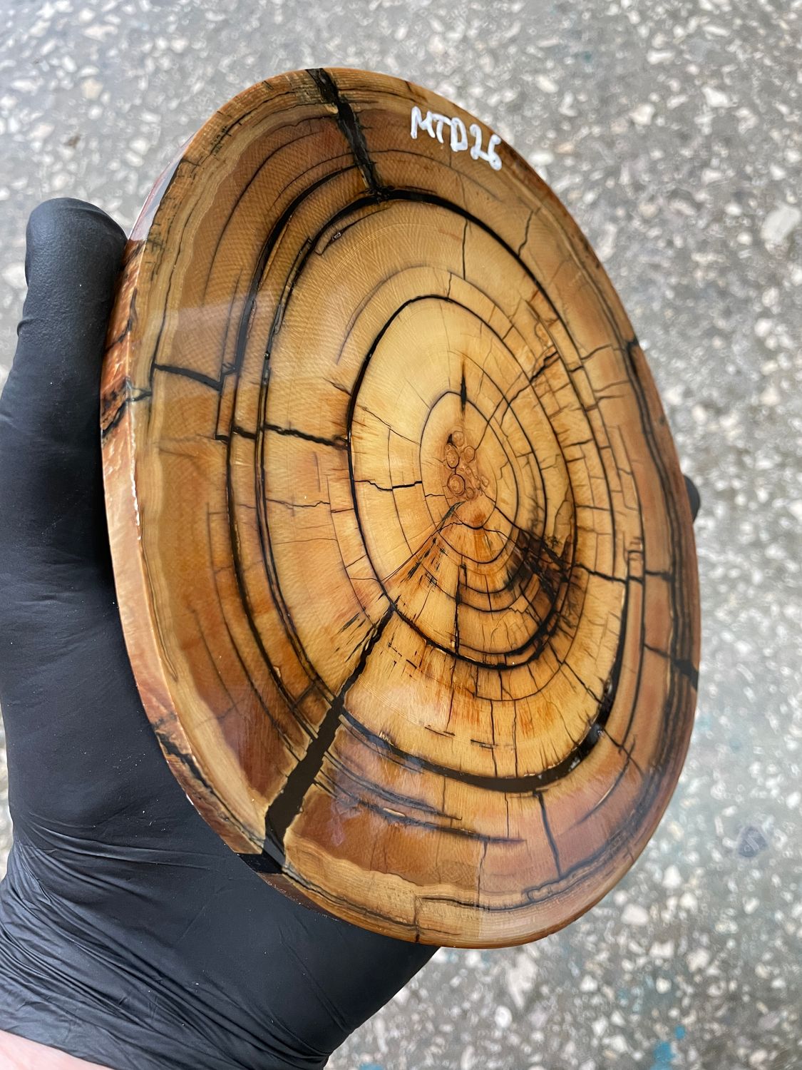 Natural woolly mammoth tusk disk slab unique pattern stabilized ivory material