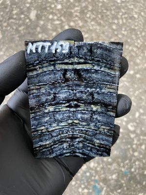 Stabilized mammoth tooth knife scales pair inch for pocket knife handle MTT159