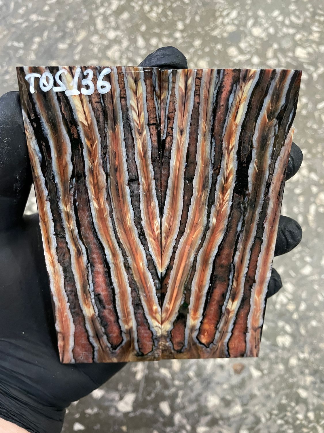 Mammoth tooth scales pair stabilized for knifehandl 5.11-1.88-0.47 inch TOS136