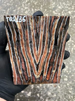 mammoth tooth stabilized knife handle scales pair TOS136