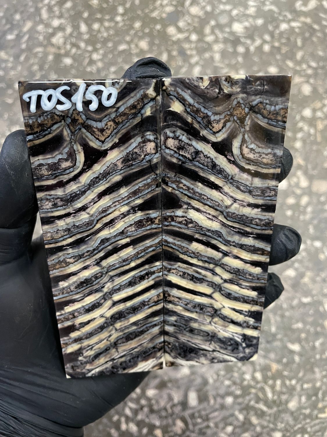 Mammoth tooth scales pair stabilized for knifehandl 5.19-1.81-0.35 inch TOS150