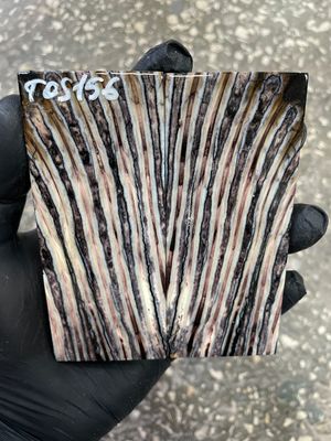 Mammoth tooth scales pair stabilized for knifehandl 4.48-1.88-0.39 inch TOS156