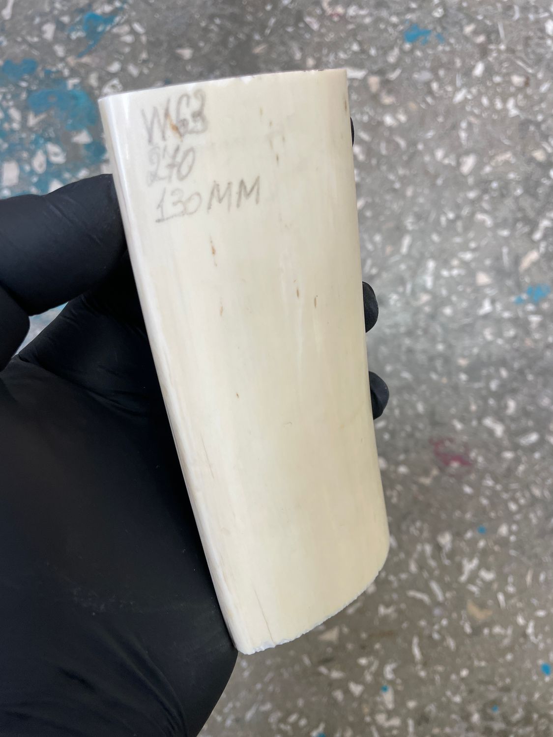 Walrus tusk for scrimshaw carving knifehandle 0.59 lb W63