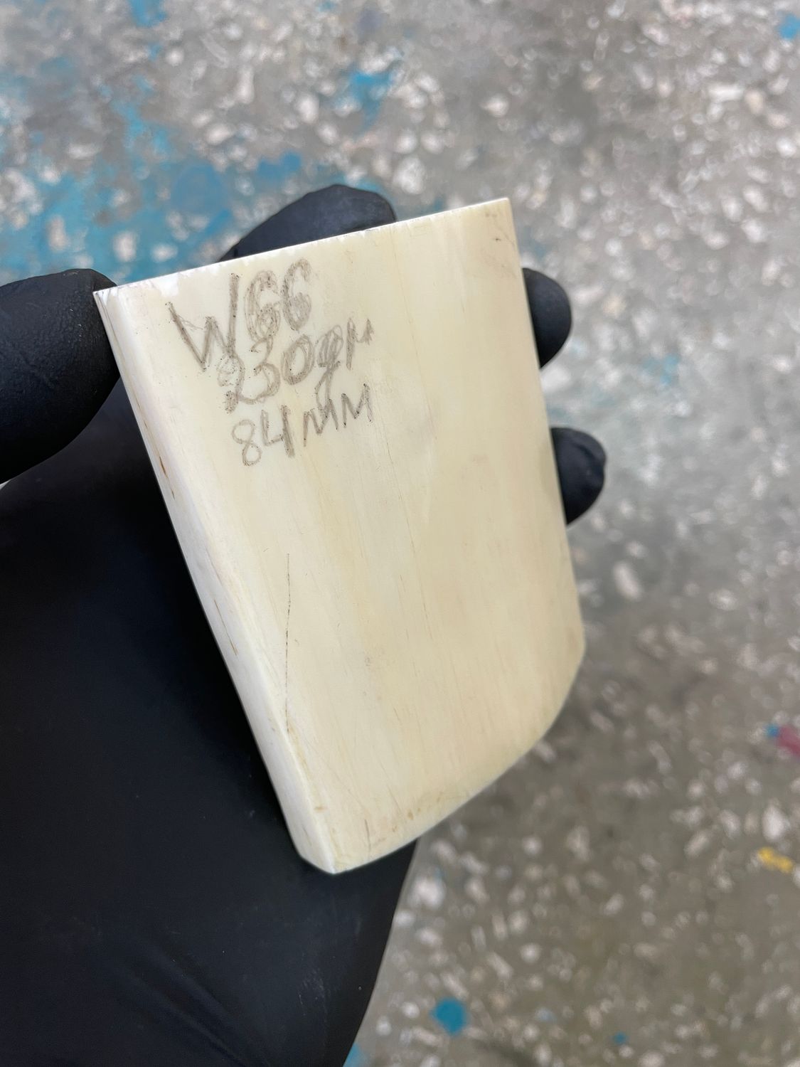 Walrus tusk for scrimshaw carving knifehandle 0.50 lb W66