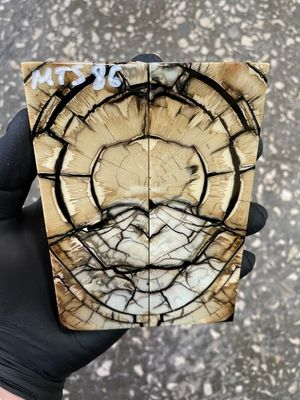 stabilized mammoth tusk knife scales pair fossil handle material MTS86