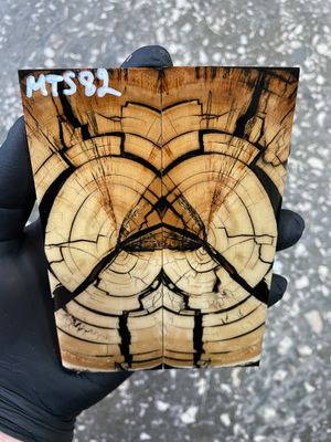 stabilized mammoth tusk knife scales pair fossil handle material MTS82