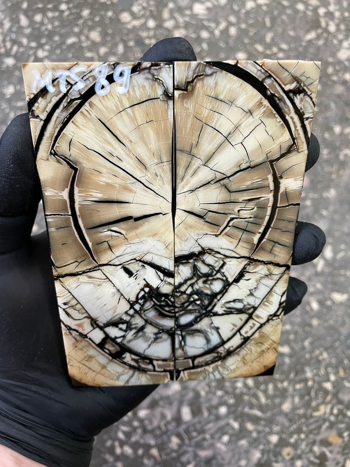 Mammoth tusk knife scales 5.11-1.81-0.35 inch MTS89