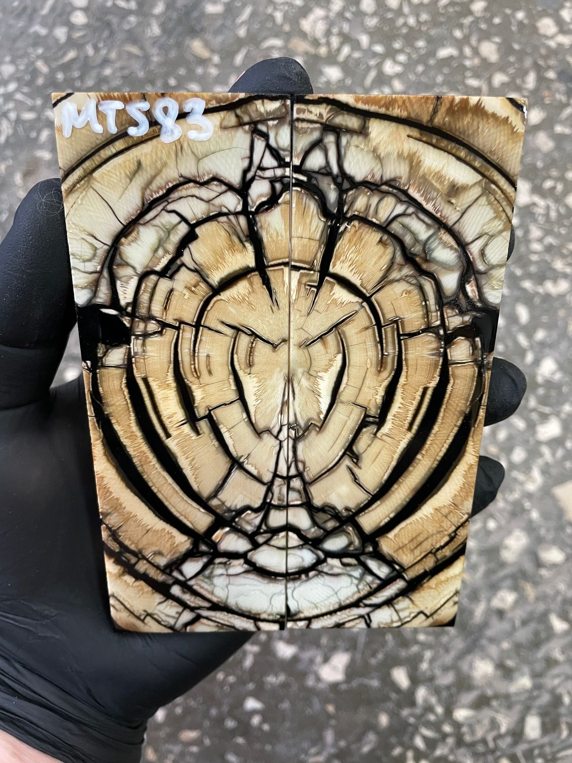 Mammoth tusk knife scales 5.19-1.88-0.39 inch MTS83