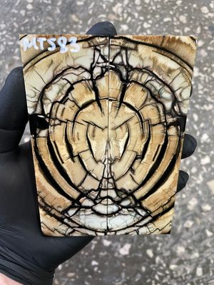 stabilized mammoth tusk knife scales pair fossil handle material MTS83