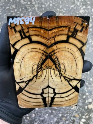 stabilized mammoth tusk knife scales pair fossil handle material MTS94