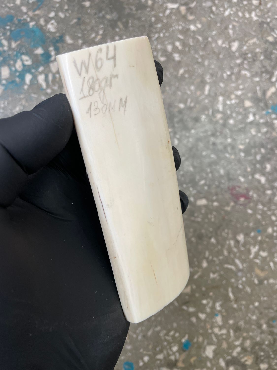 Walrus tusk for scrimshaw carving knifehandle 0.39 lb W64