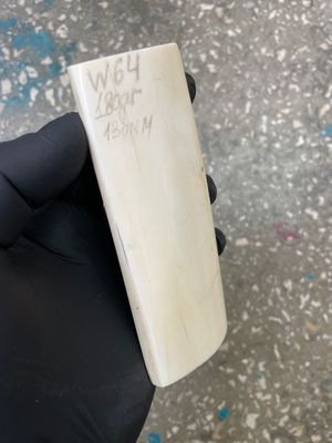 walrus tusk block for scrimshaw carving knife handle material W64