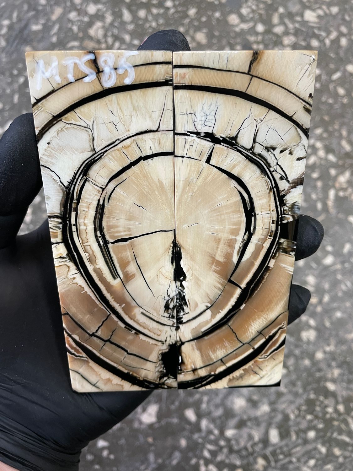 Mammoth tusk knife scales 5.11-1.73-0.39 inch MTS85