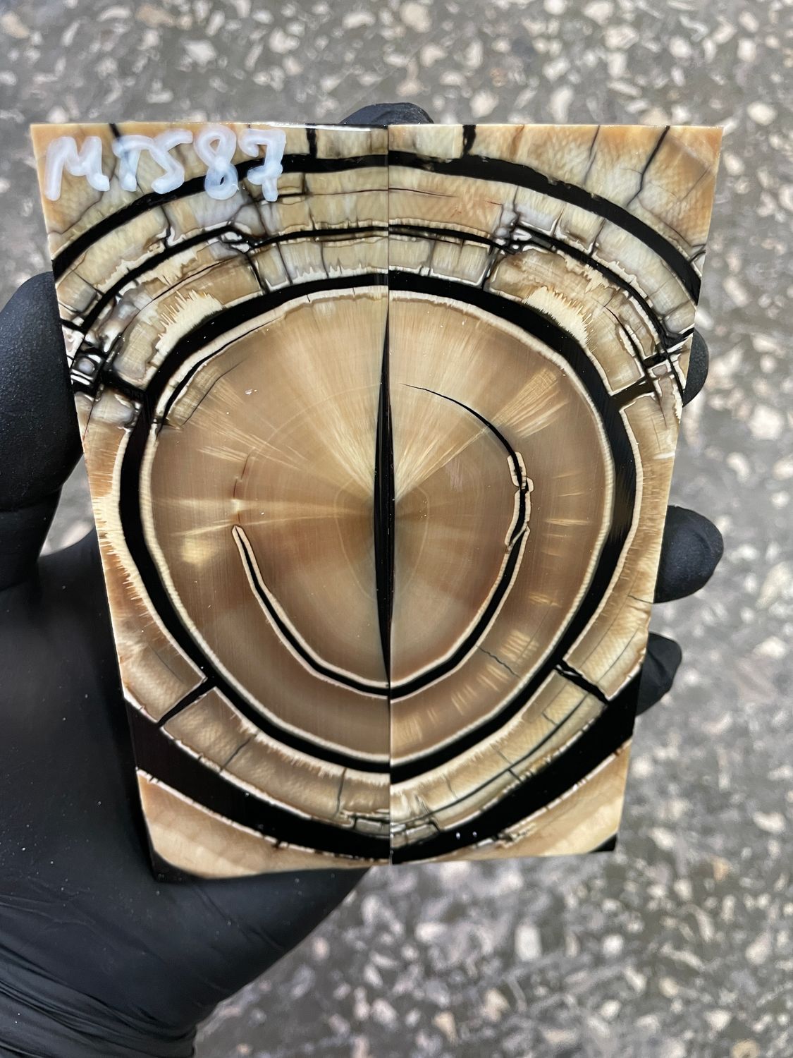 Mammoth tusk knife scales 5.15-1.77-0.35 inch MTS87