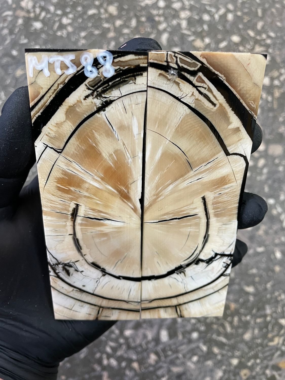 Mammoth tusk knife scales 5.07-1.65-0.31 inch MTS88