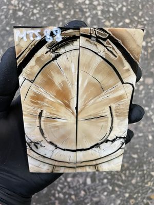 stabilized mammoth tusk knife scales pair fossil handle material MTS88