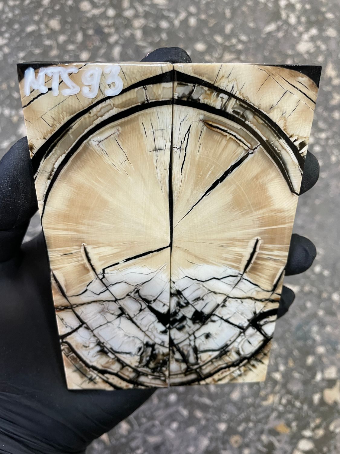 Mammoth tusk knife scales 5.23-1.73-0.35 inch MTS93