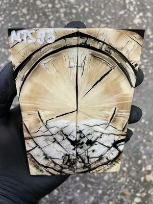 stabilized mammoth tusk knife scales pair fossil handle material MTS93