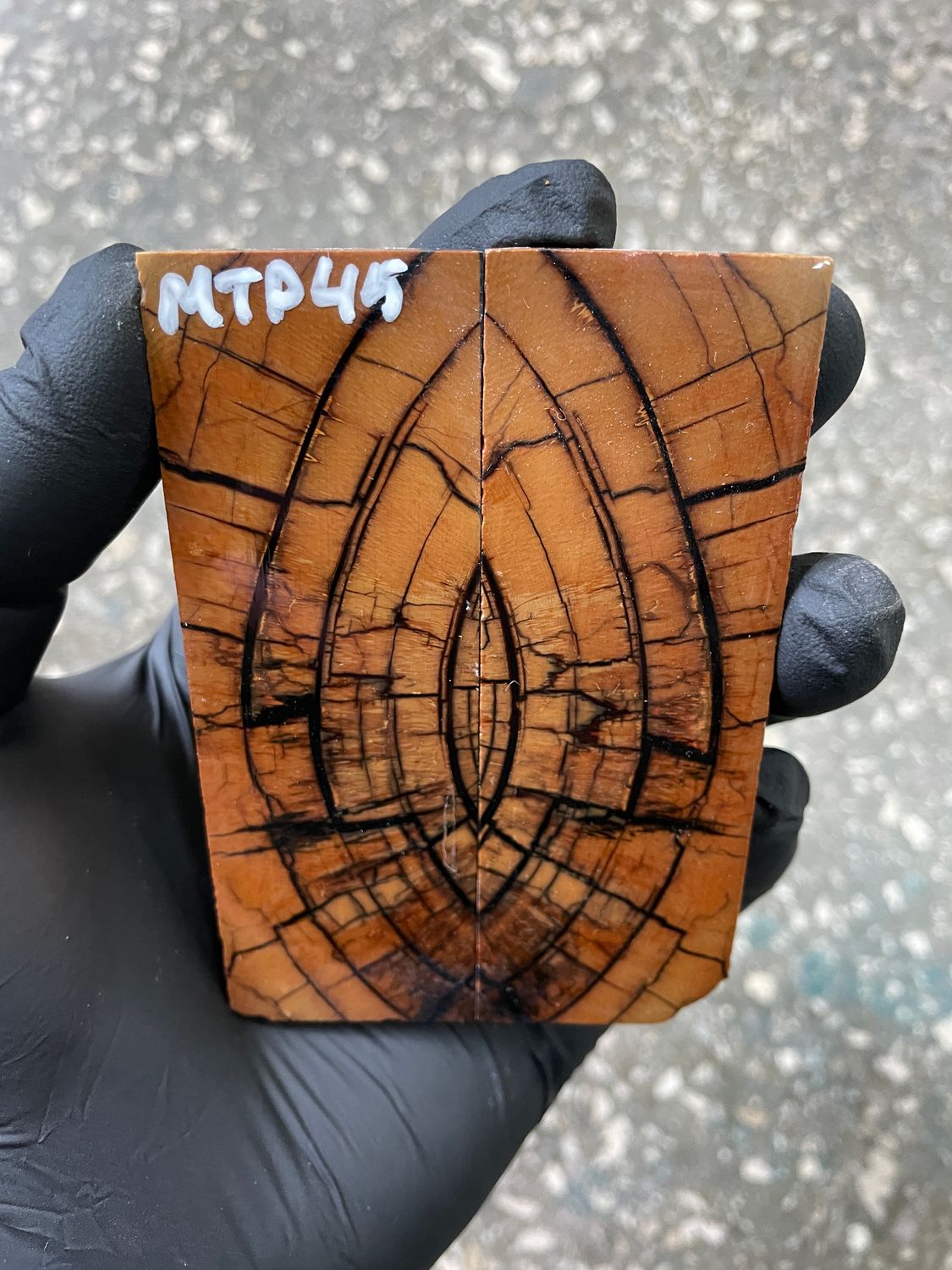 Mammoth tusk scales 3.77-1.29-0.27 inch MTP45