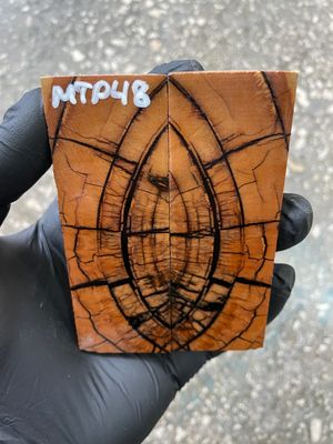 stabilized mammoth tusk knife scales pocket knife pair fossil material MTP48