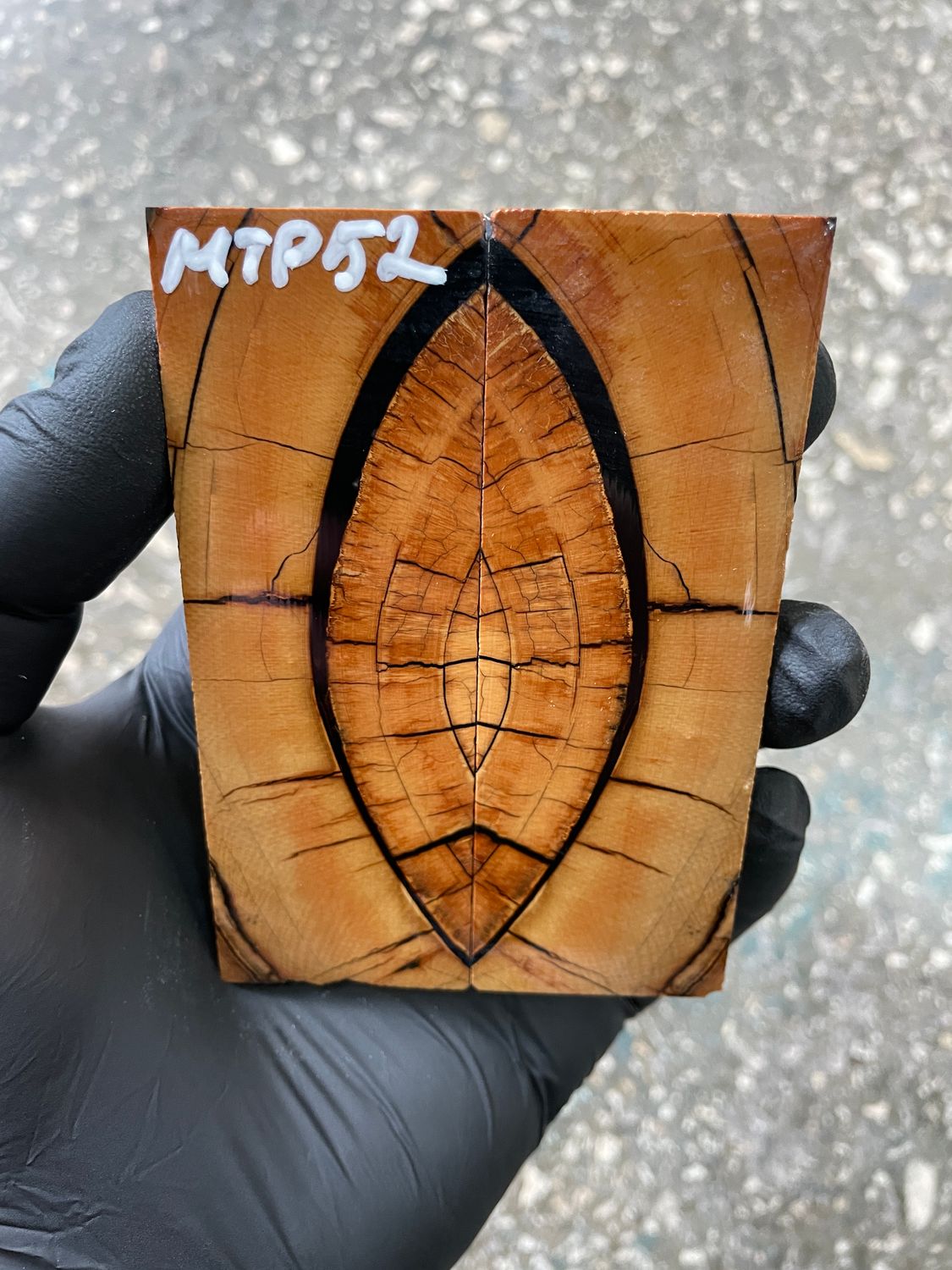 Mammoth tusk scales 3.81-1.33-0.27 inch MTP52