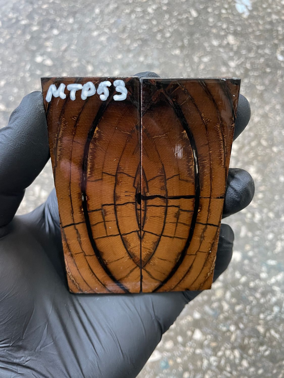 Mammoth tusk scales 3.70-1.33-0.23 inch MTP53