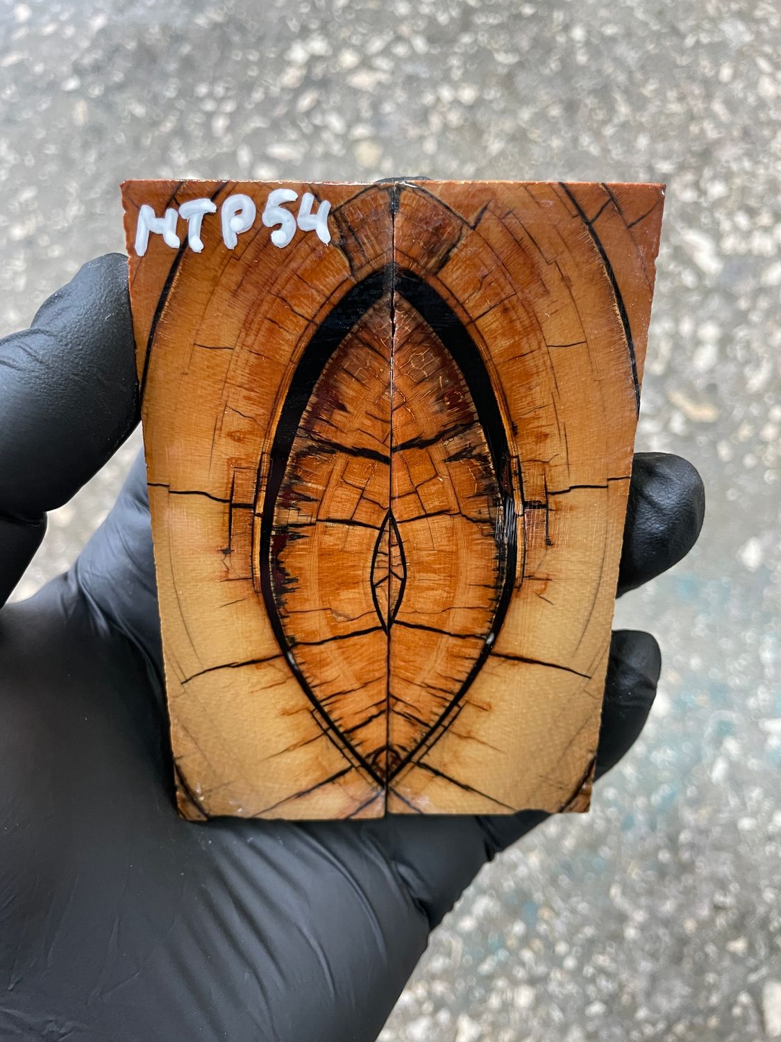 Mammoth tusk scales 3.77-1.33-0.27 inch MTP54