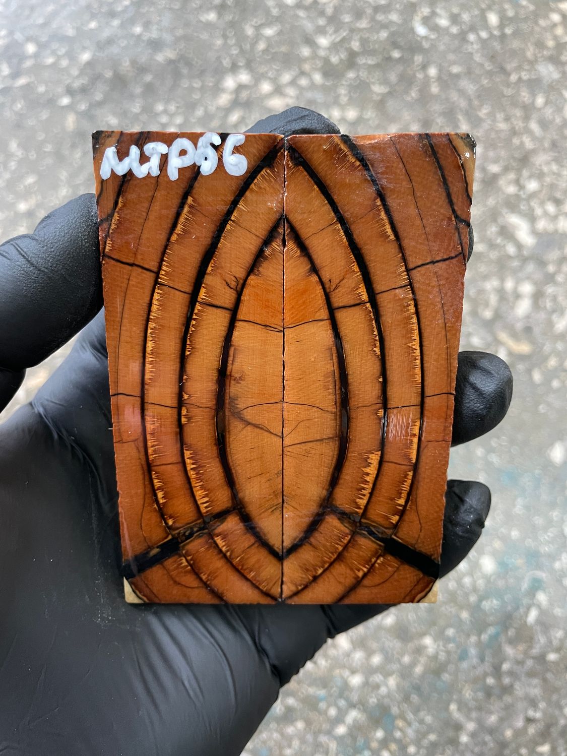 Mammoth tusk scales 3.77-1.33-0.27 inch MTP56