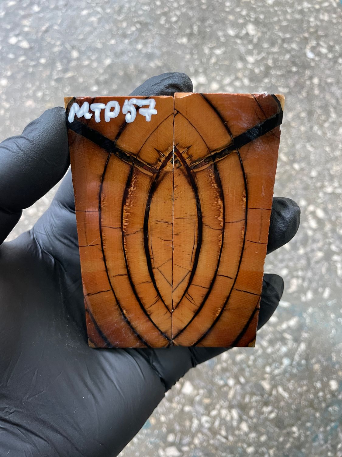 Mammoth tusk scales 3.77-1.33-0.27 inch MTP57