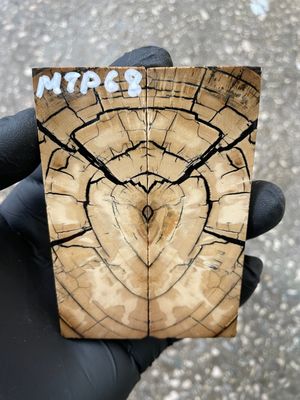 stabilized mammoth tusk knife scales pocket knife pair fossil material MTP68