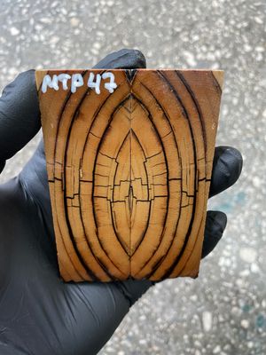 stabilized mammoth tusk knife scales pocket knife pair fossil material MTP47