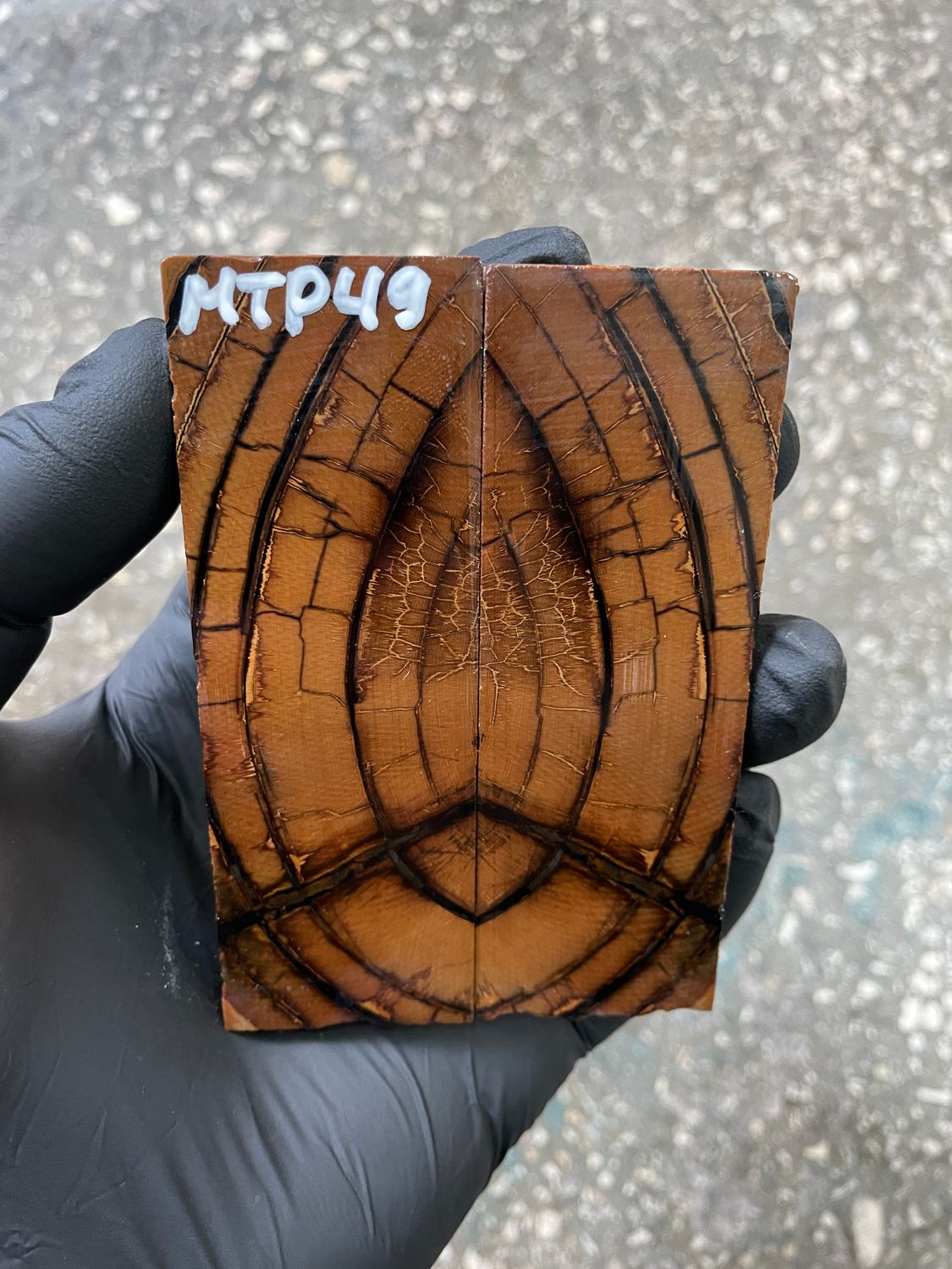 Mammoth tusk scales 3.77-1.33-0.27 inch MTP49