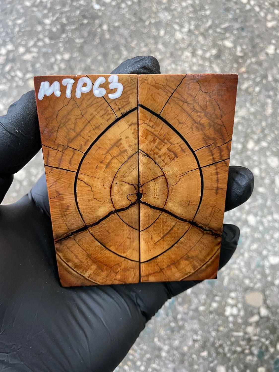 Mammoth tusk scales 3.66-1.49-0.43 inch MTP63