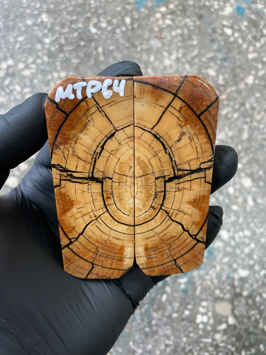 Mammoth tusk scales 3.74-1.33-0.39 inch MTP64