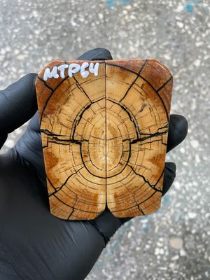 stabilized mammoth tusk knife scales pocket knife pair fossil material MTP64