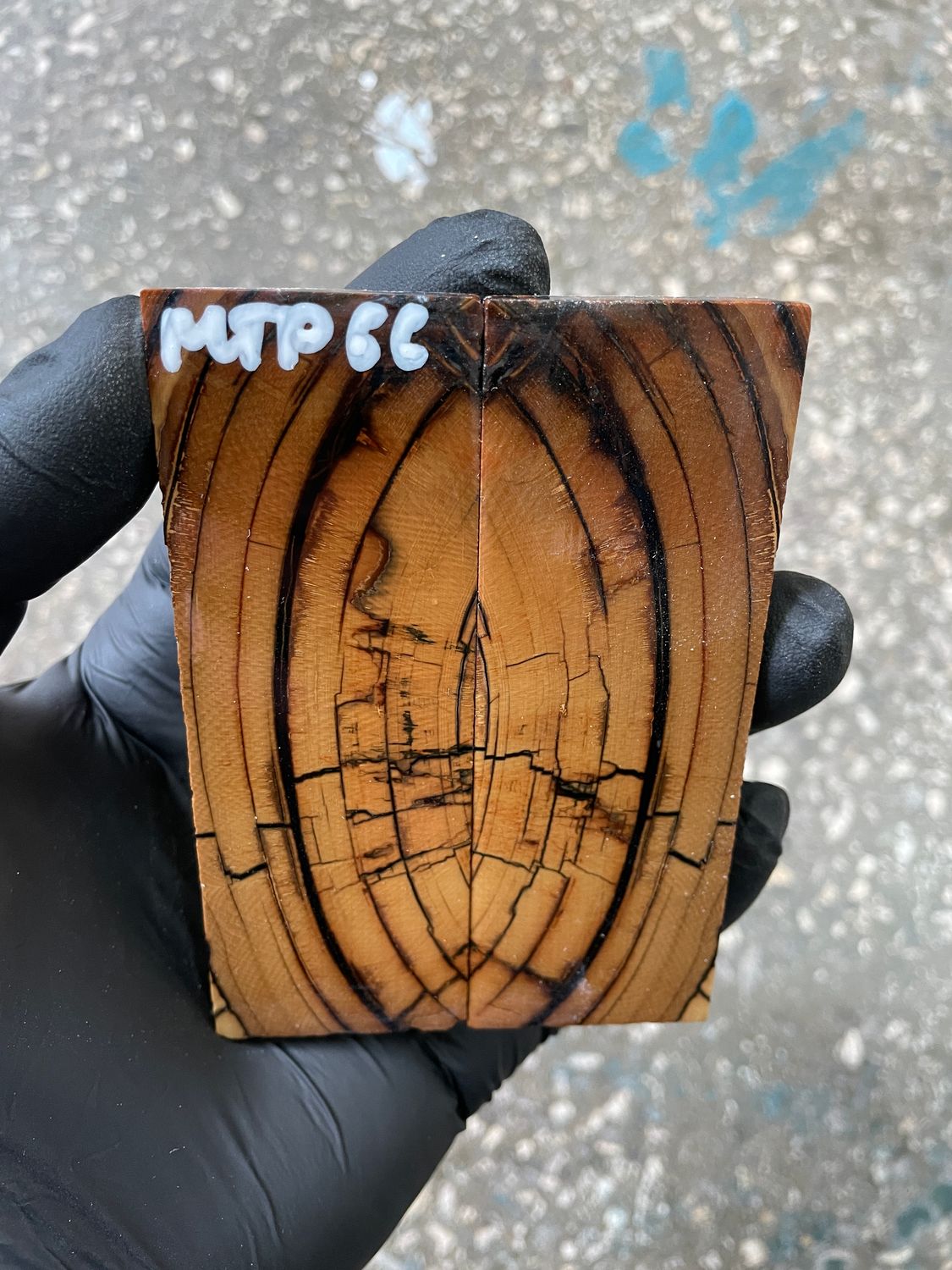 Mammoth tusk scales 3.77-1.33-0.23 inch MTP66